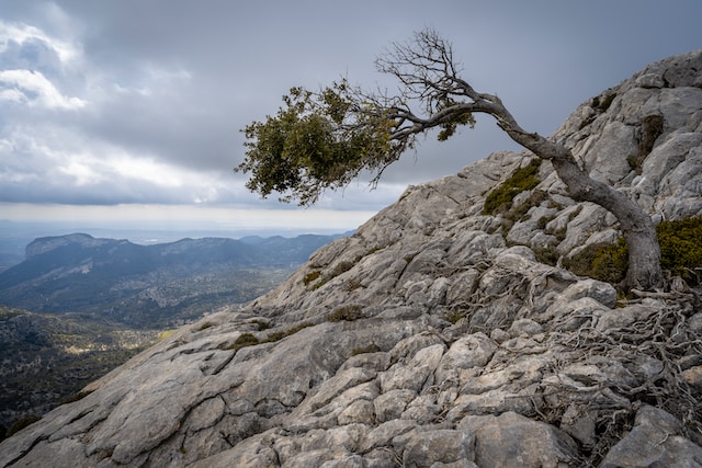 Resilienz – psychische Widerstandsfähigkeit entwickeln